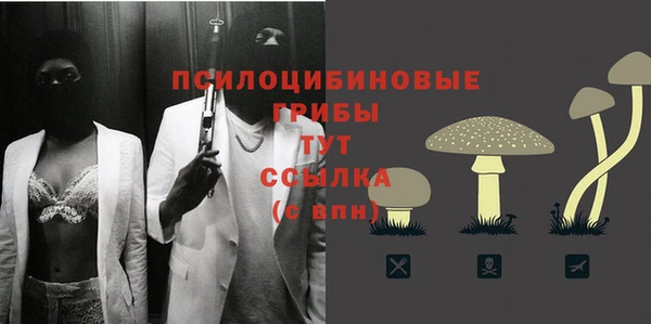 ПСИЛОЦИБИНОВЫЕ ГРИБЫ Мегион
