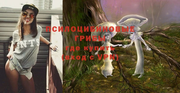 ПСИЛОЦИБИНОВЫЕ ГРИБЫ Мегион