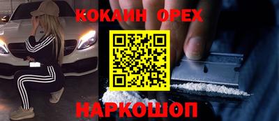 стафф Гай