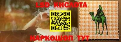 стафф Гай