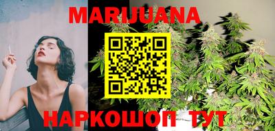 стафф Гай
