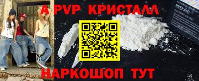 стафф Гай