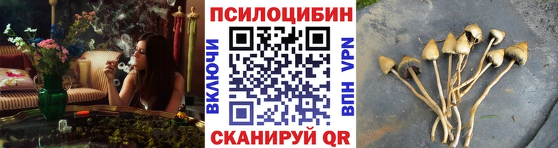 Псилоцибиновые грибы MAGIC MUSHROOMS  купить наркотики цена  Коммунар 