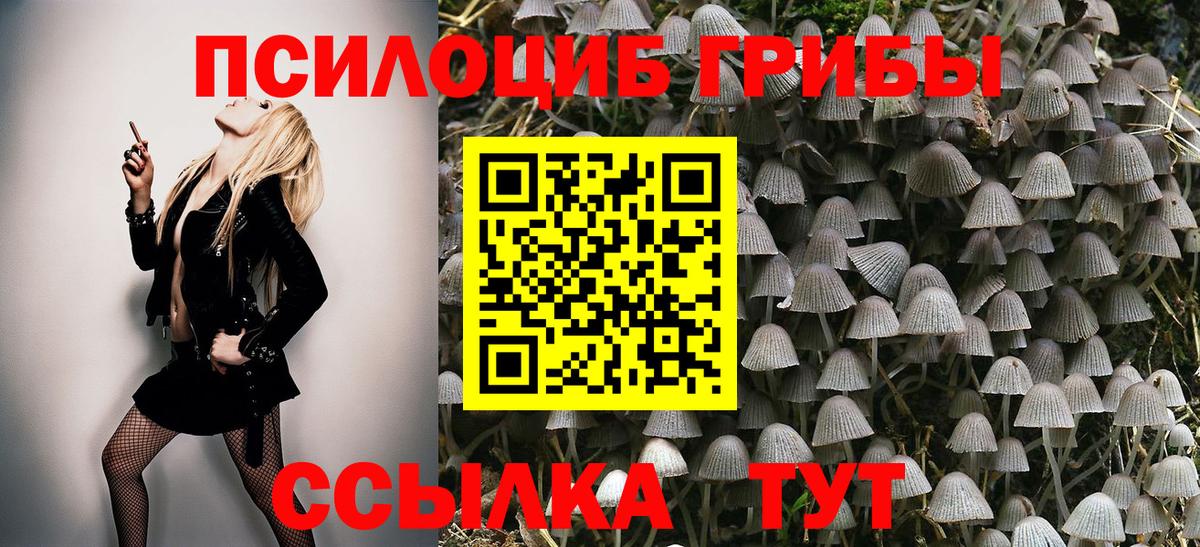 Псилоцибиновые грибы мицелий  Вход с VPN  Коммунар 
