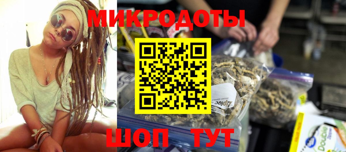 Псилоцибиновые грибы Psilocybe Коммунар